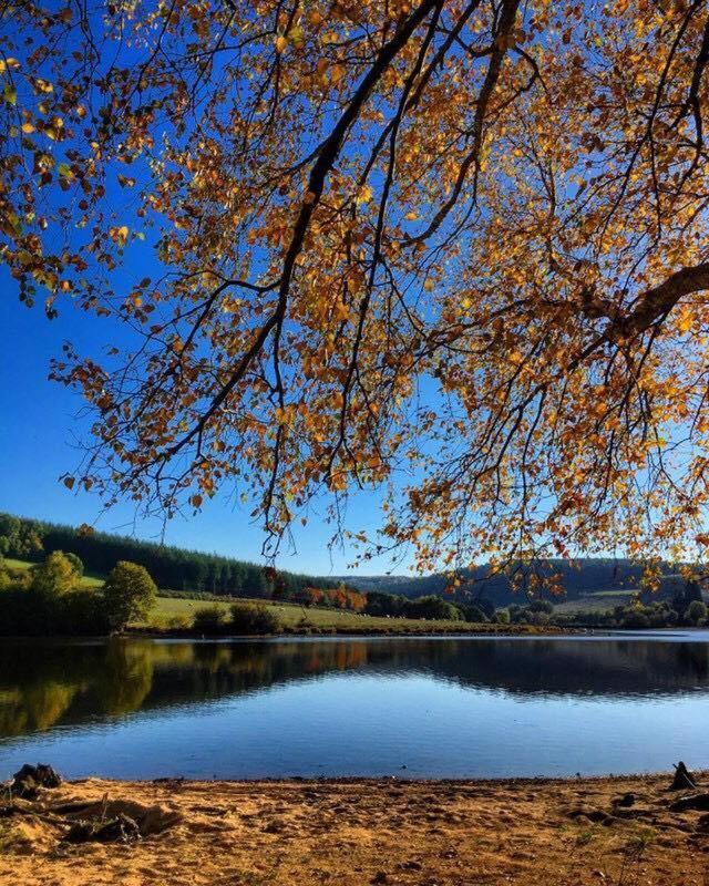 La Vieille Auberge Du Lac Saint-Agnan  Dış mekan fotoğraf