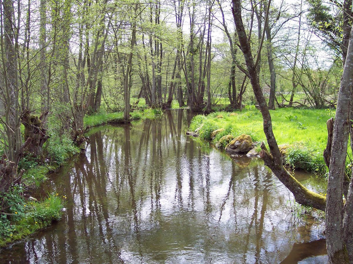 La Vieille Auberge Du Lac Saint-Agnan  Dış mekan fotoğraf